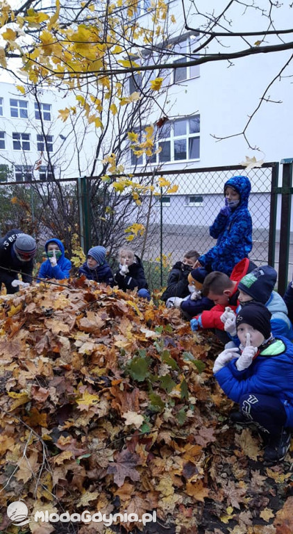 SP 31 przyłącza się do akcji Jeż w wielkim mieście