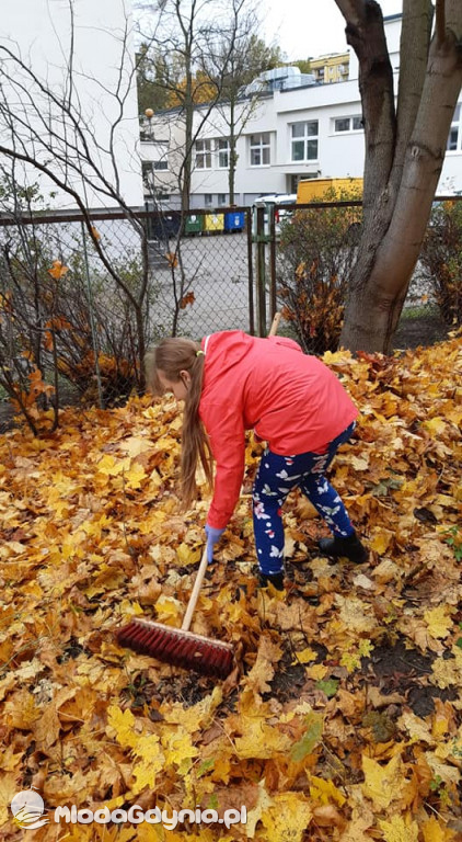 SP 31 przyłącza się do akcji Jeż w wielkim mieście