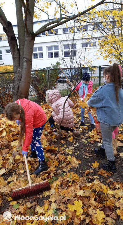 SP 31 przyłącza się do akcji Jeż w wielkim mieście