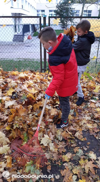 SP 31 przyłącza się do akcji Jeż w wielkim mieście