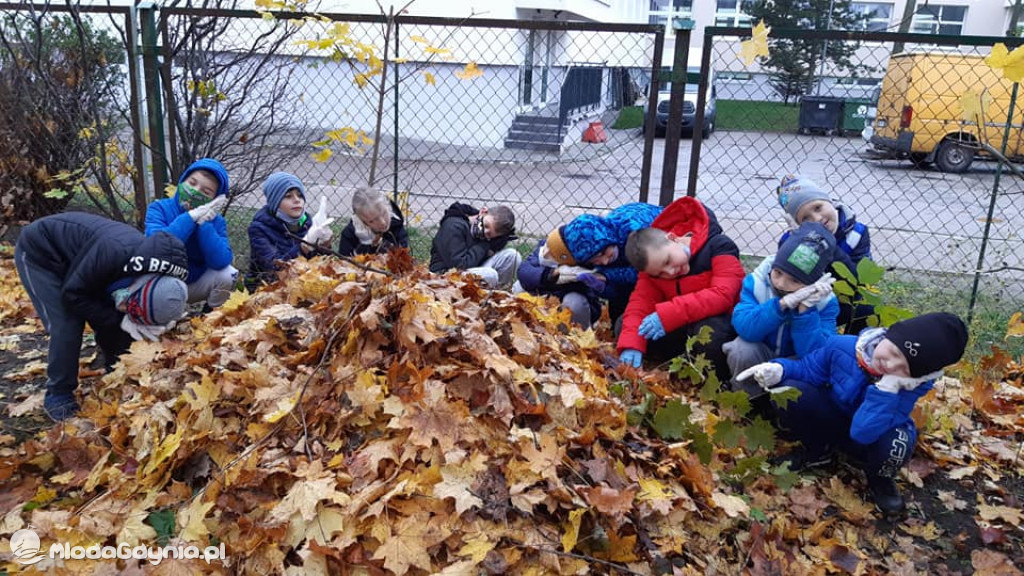SP 31 przyłącza się do akcji Jeż w wielkim mieście