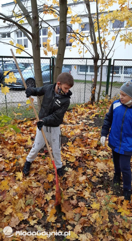 SP 31 przyłącza się do akcji Jeż w wielkim mieście