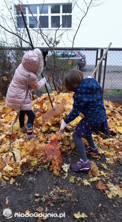 SP 31 przyłącza się do akcji Jeż w wielkim mieście