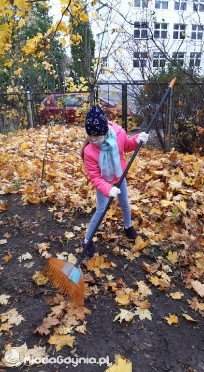SP 31 przyłącza się do akcji Jeż w wielkim mieście