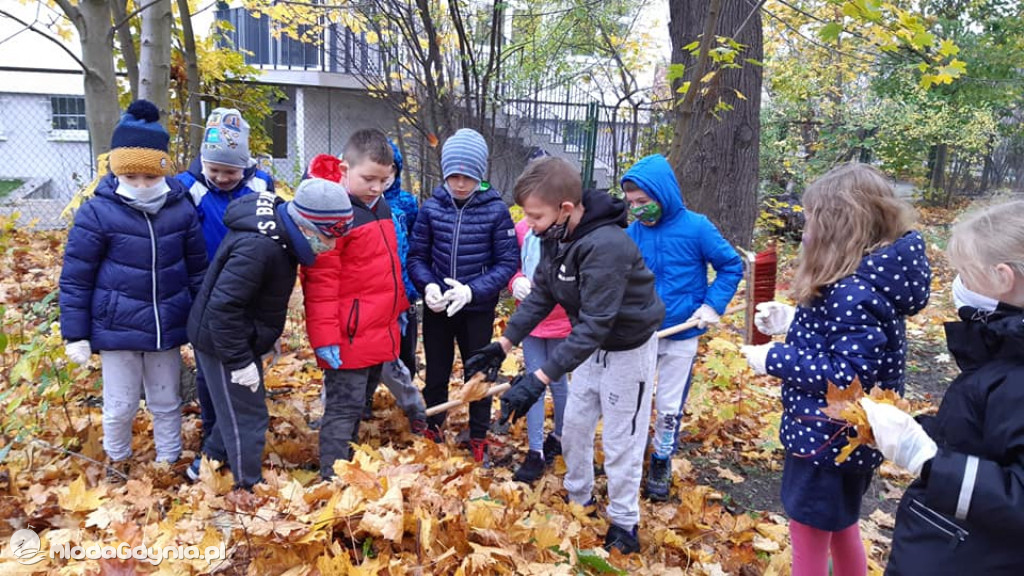 SP 31 przyłącza się do akcji Jeż w wielkim mieście