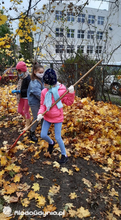 SP 31 przyłącza się do akcji Jeż w wielkim mieście