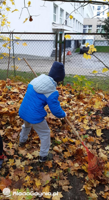 SP 31 przyłącza się do akcji Jeż w wielkim mieście