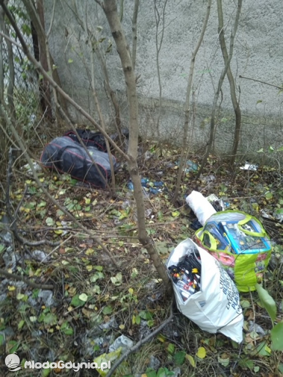 IMAN - PIES SŁUŻBOWY GDYŃSKIEJ POLICJI ODZYSKAŁ RZECZY POCHODZĄCE Z KRADZIEŻY