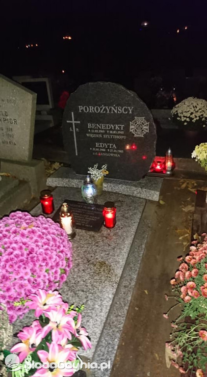 ZHP Gdynia - 11 listopada 2020