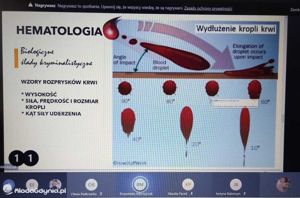 I ALO - nauka zdalna w dobie pandemii