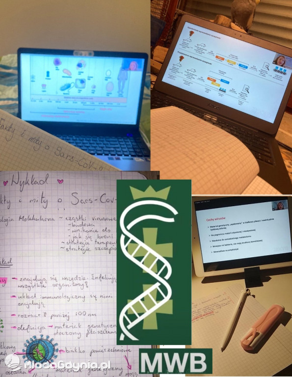 I ALO - nauka zdalna w dobie pandemii