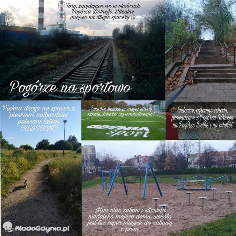 I ALO - nauka zdalna w dobie pandemii