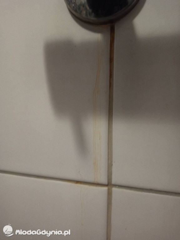 W jakim stanie miasto przekazuje mieszkania komunalne