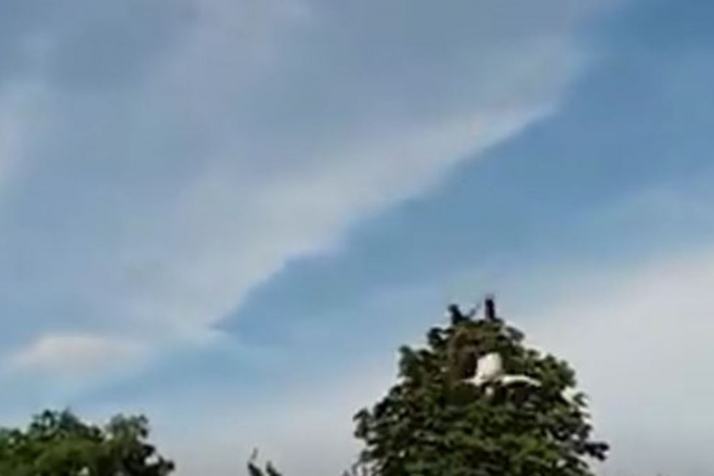 Bungee - upadek w Parku Rady Europy