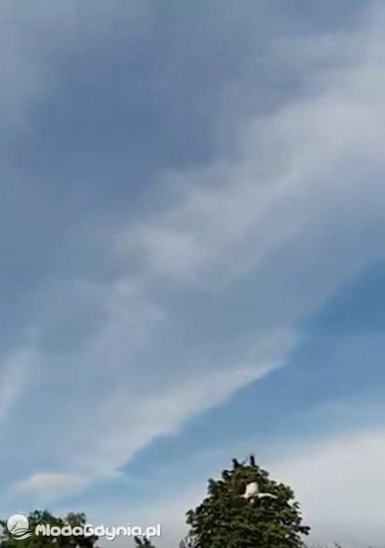 Bungee - upadek w Parku Rady Europy