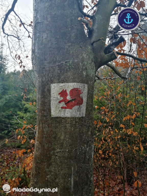 10.Rajd Mikołajkowy - 05.12.2020