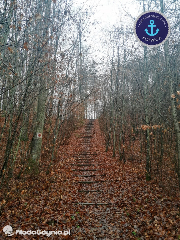 10.Rajd Mikołajkowy - 05.12.2020