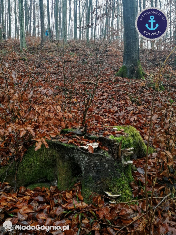 10.Rajd Mikołajkowy - 05.12.2020