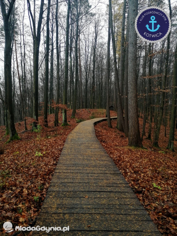 10.Rajd Mikołajkowy - 05.12.2020