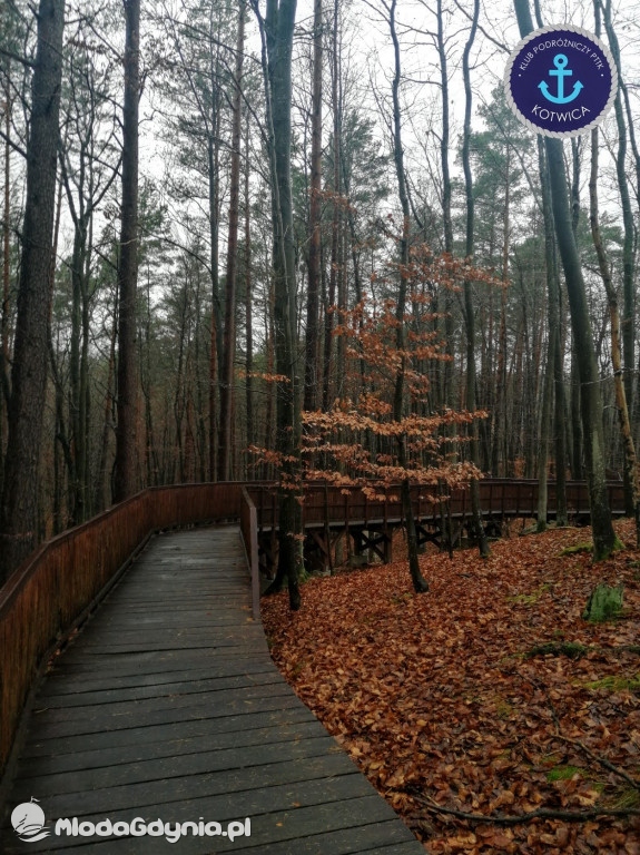 10.Rajd Mikołajkowy - 05.12.2020