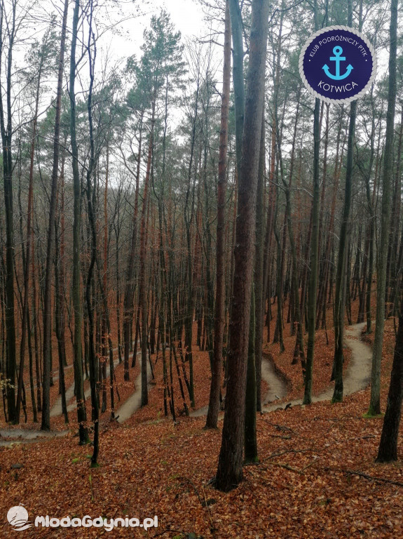 10.Rajd Mikołajkowy - 05.12.2020