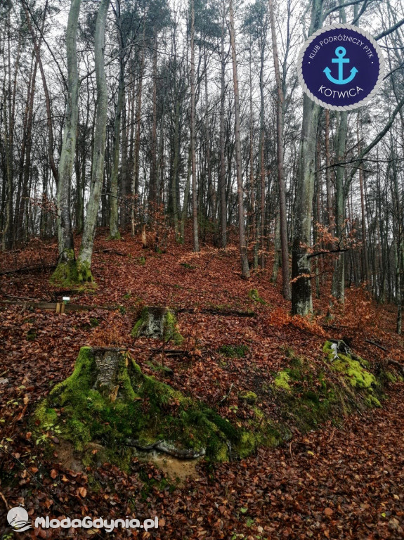 10.Rajd Mikołajkowy - 05.12.2020