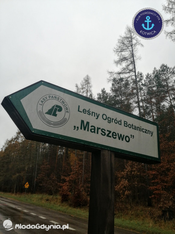 10.Rajd Mikołajkowy - 05.12.2020
