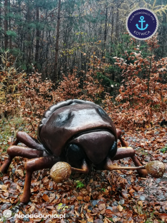 10.Rajd Mikołajkowy - 05.12.2020