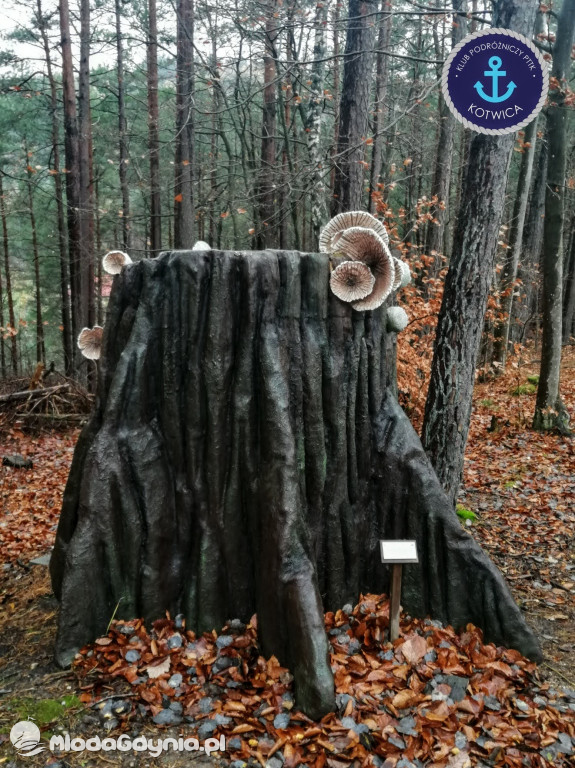 10.Rajd Mikołajkowy - 05.12.2020