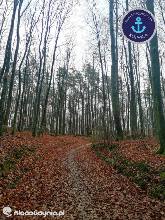 10.Rajd Mikołajkowy - 05.12.2020