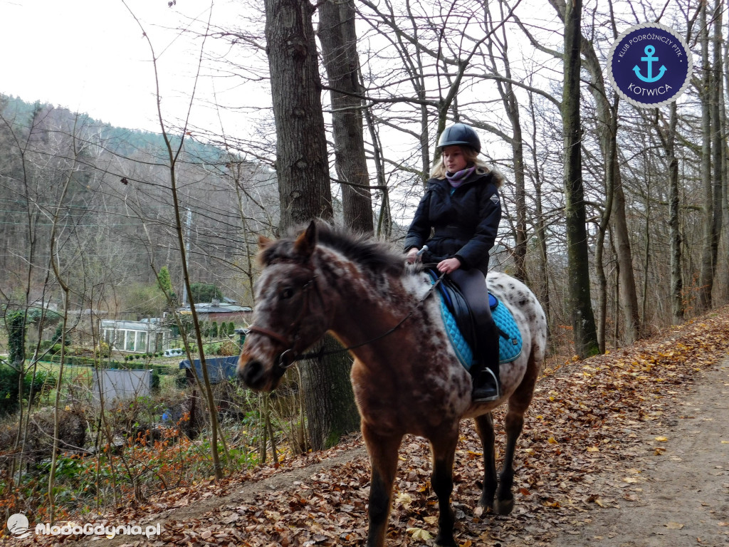 10.Rajd Mikołajkowy - 05.12.2020