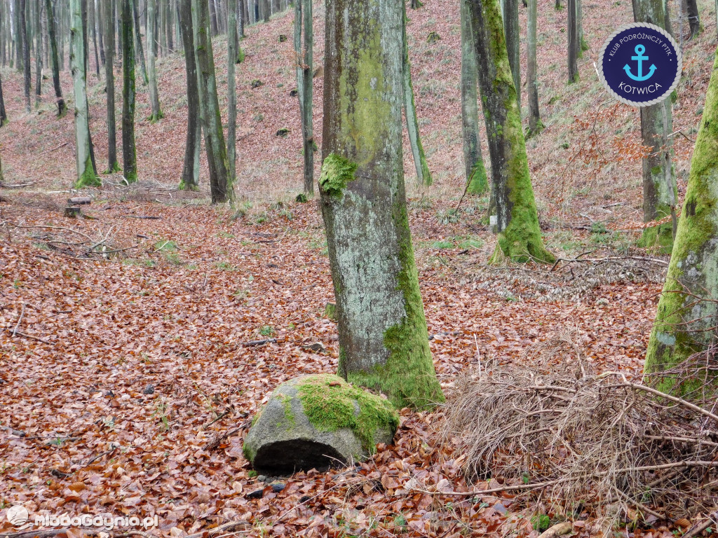 10.Rajd Mikołajkowy - 05.12.2020