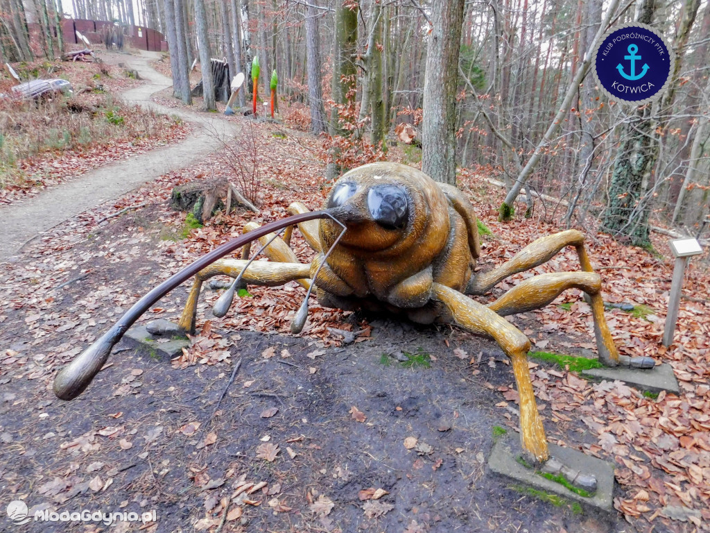 10.Rajd Mikołajkowy - 05.12.2020