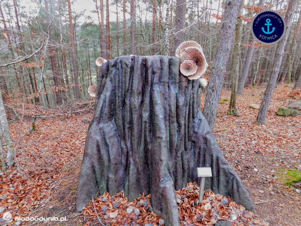 10.Rajd Mikołajkowy - 05.12.2020