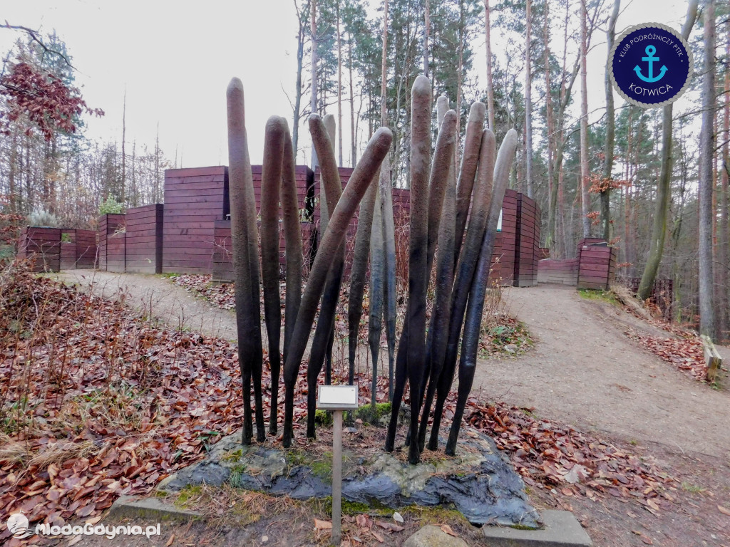 10.Rajd Mikołajkowy - 05.12.2020