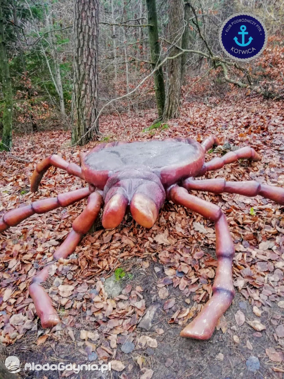 10.Rajd Mikołajkowy - 05.12.2020