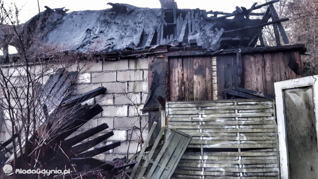 Pożar na Leszczynkach i Wzgórzu Św. Maksymiliana