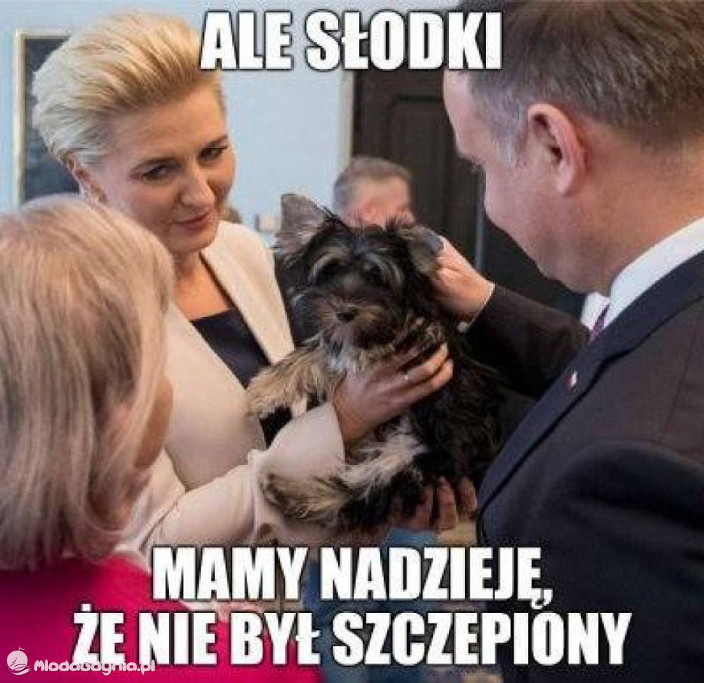 Memy o szczepieniach