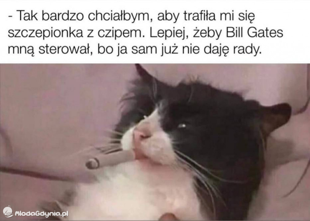 Memy o szczepieniach