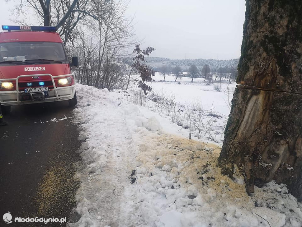 Podcięte drzewa przy pomorskich drogach