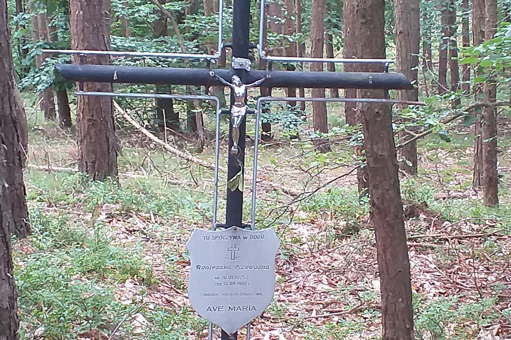 Symboliczny grób Agnieszki Przewoźnej zamordowanej przez Zenona Gliwę w lesie na Pustkach Cisowskich