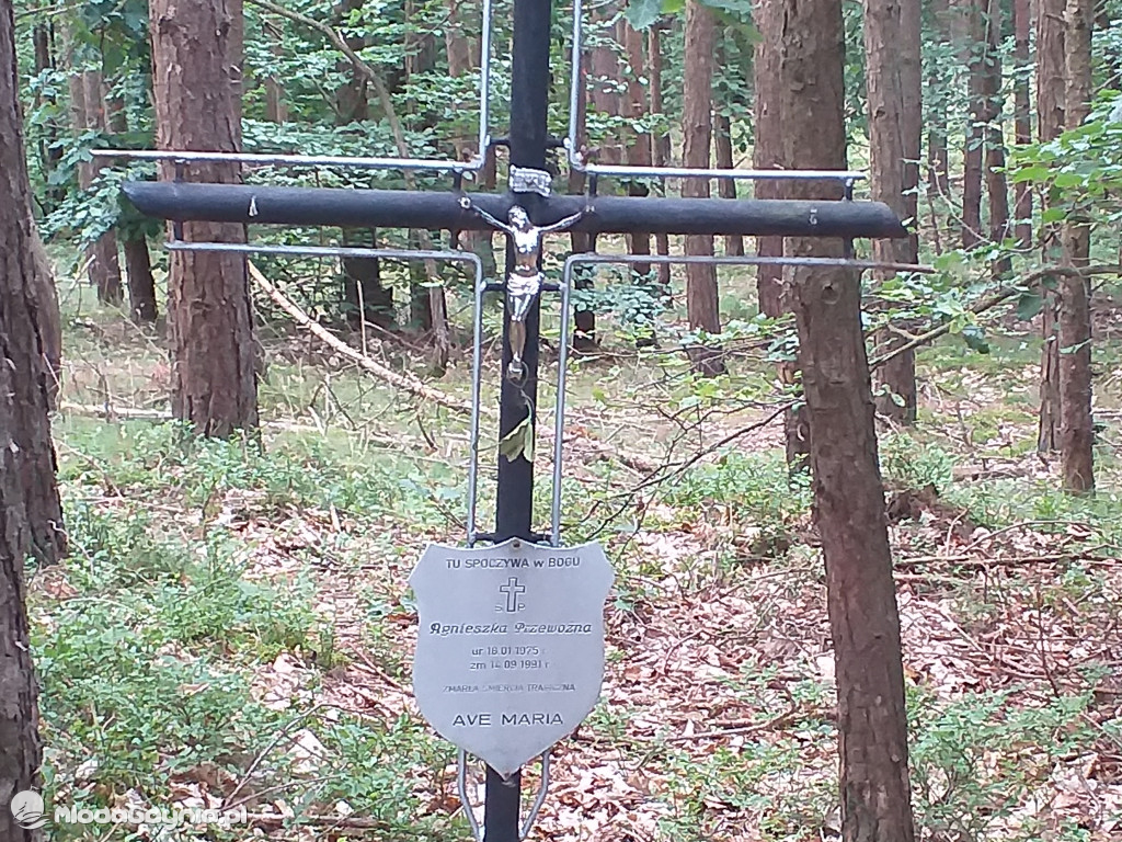 Symboliczny grób Agnieszki Przewoźnej zamordowanej przez Zenona Gliwę w lesie na Pustkach Cisowskich