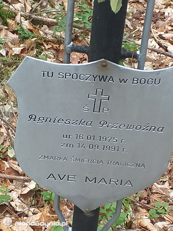 Symboliczny grób Agnieszki Przewoźnej zamordowanej przez Zenona Gliwę w lesie na Pustkach Cisowskich