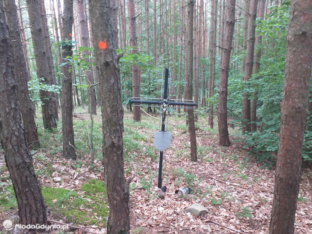 Symboliczny grób Agnieszki Przewoźnej zamordowanej przez Zenona Gliwę w lesie na Pustkach Cisowskich