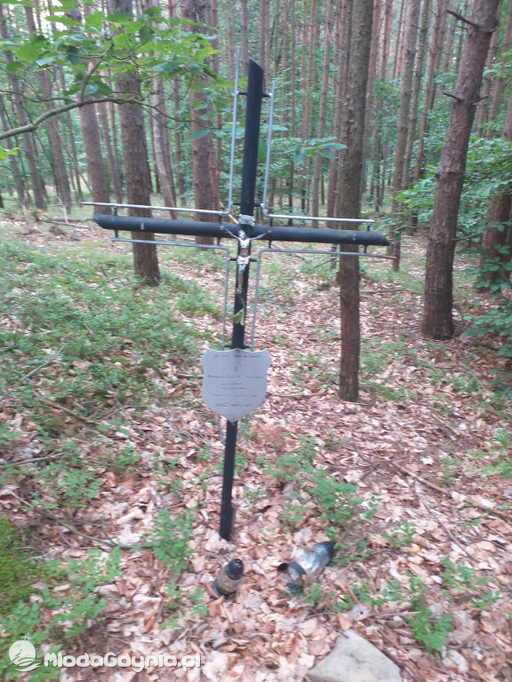 Symboliczny grób Agnieszki Przewoźnej zamordowanej przez Zenona Gliwę w lesie na Pustkach Cisowskich