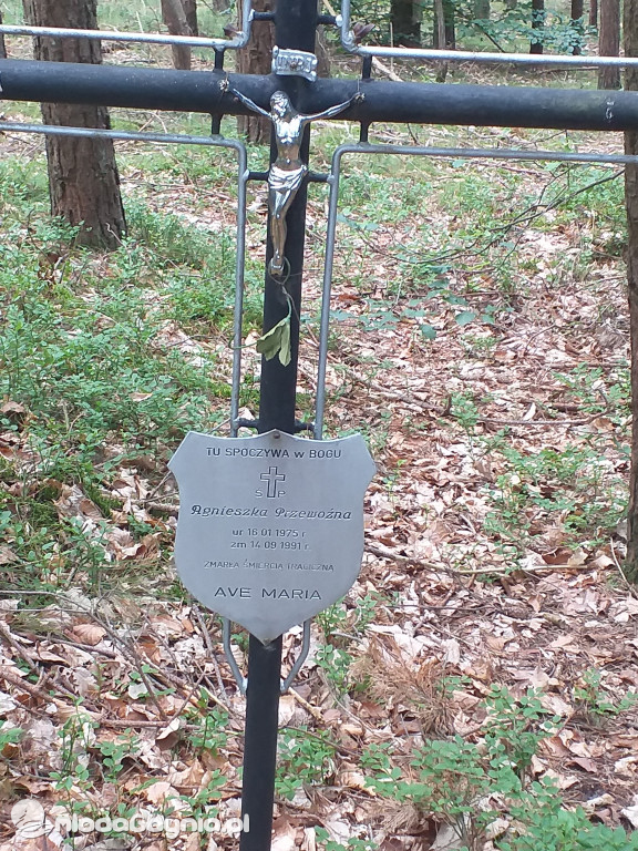 Symboliczny grób Agnieszki Przewoźnej zamordowanej przez Zenona Gliwę w lesie na Pustkach Cisowskich
