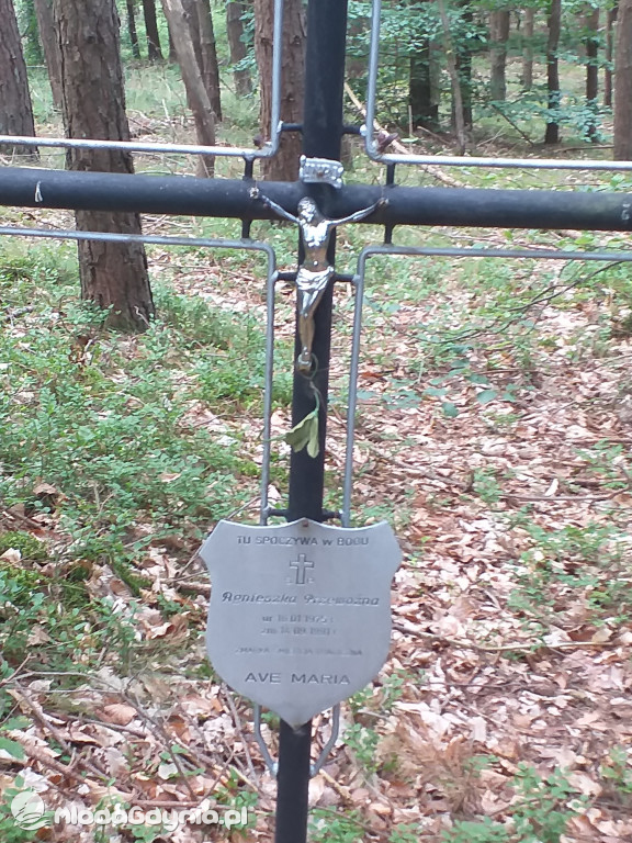 Symboliczny grób Agnieszki Przewoźnej zamordowanej przez Zenona Gliwę w lesie na Pustkach Cisowskich