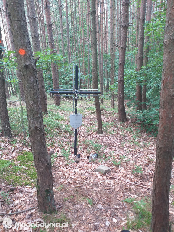 Symboliczny grób Agnieszki Przewoźnej zamordowanej przez Zenona Gliwę w lesie na Pustkach Cisowskich