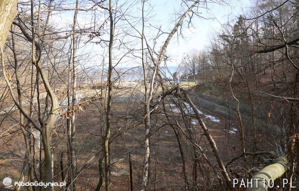 Baseny na Polance Redłowskiej