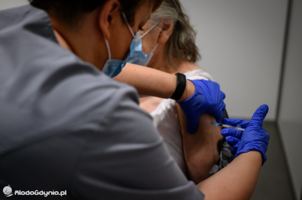 Etapy powstawania szpitala tymczasowego na AMBEREXPO